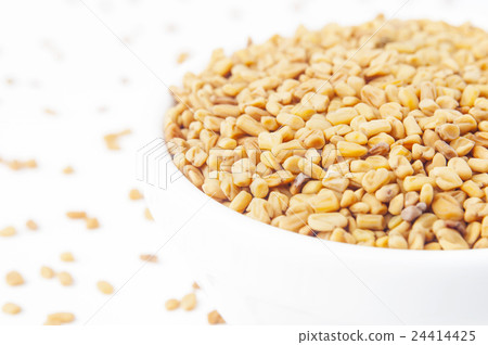 Fenugreek seeds in white bowl Fenugreek seeds in white bowl 24414425