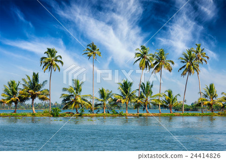 Kerala backwaters with palms Kerala backwaters with palms 24414826