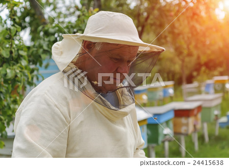 Beekeeper is working with bees and beehives on the apiary Beekeeper is working with bees and beehives on the apiary 24415638