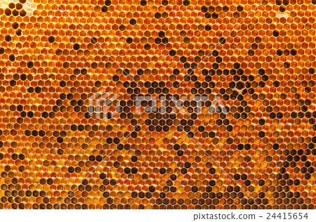 Natural beebread in honeycombs 24415654
