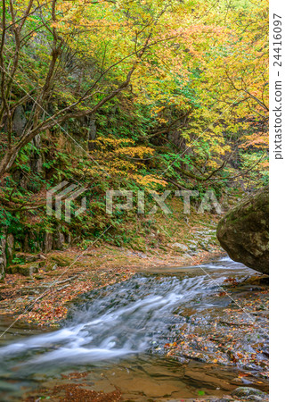 Autumn leaves and valleys (Adatara valley) 24416097