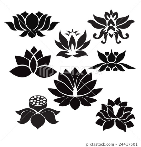 Lotus flowers  Tattoo - Illustration  24417501