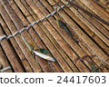 鳳尾魚Ayu和鯖魚 24417603