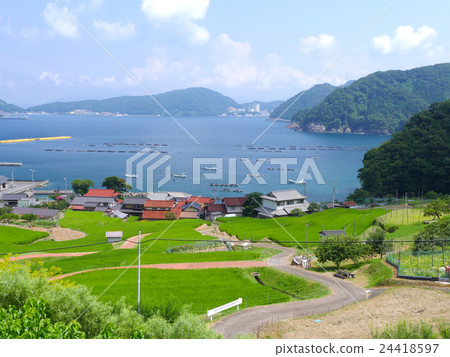 梯田和漁村有100個日式水稻梯田 梯田和漁村有100個日式水稻梯田 24418597