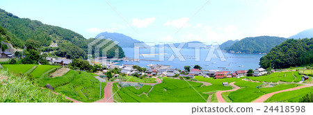 梯田和漁村有100個日式水稻梯田 24418598