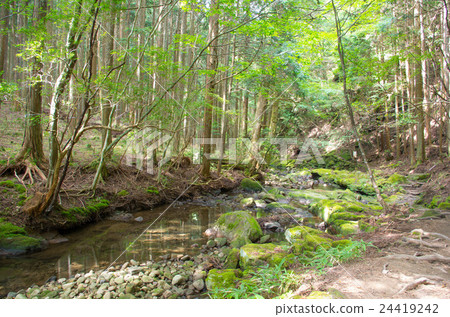 Clear stream Clear stream 24419242