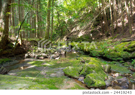 Valley Valley 24419243