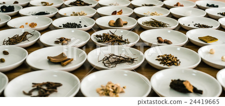 草藥的形象 草藥的形象 24419665