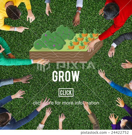Grow Crop Cultivated Agricultural Nature Season Concept Grow Crop Cultivated Agricultural Nature Season Concept 24422752