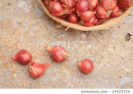 shallots shallots 24428158