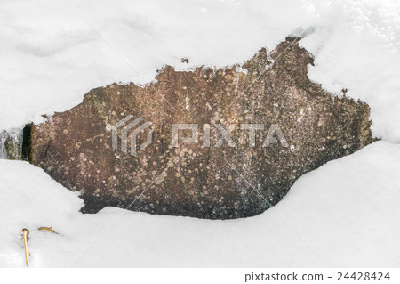Snow background Snow background 24428424