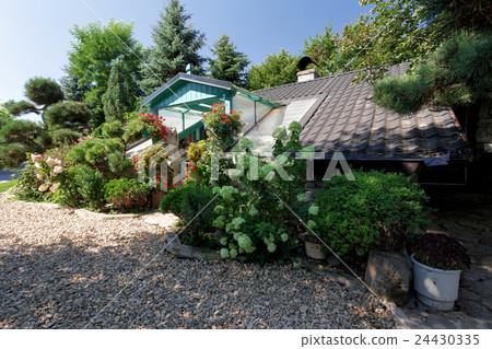 Dog baby house with flowers Dog baby house with flowers 24430335
