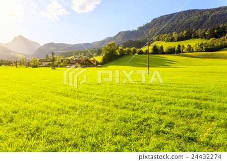 Green grass field in Austrian Alps Green grass field in Austrian Alps 24432274
