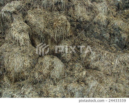 Stacked baked grass 24433339