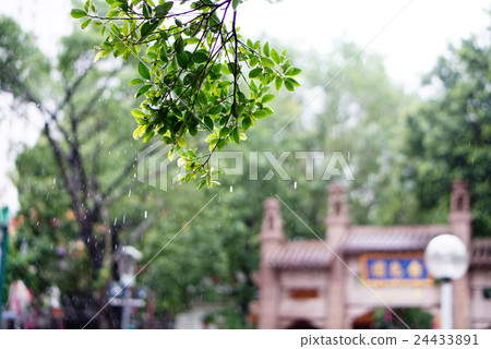 Rainy Hong Kong 24433891