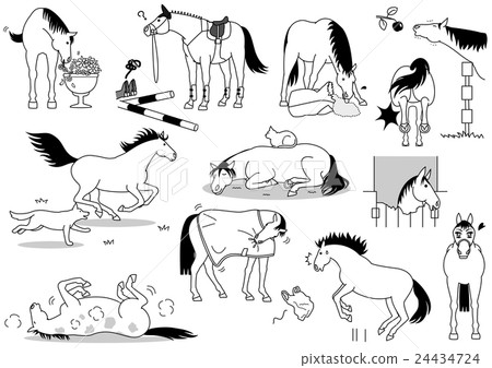 Mischievous horses Mischievous horses 24434724