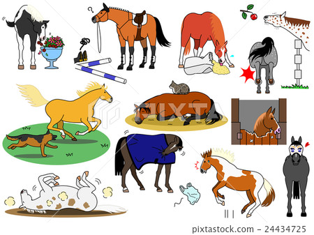 Mischievous horses Mischievous horses 24434725