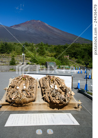 富士與巨大的瓦拉吉節 24436479