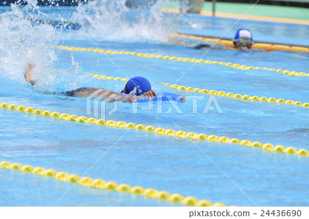 swimming 24436690