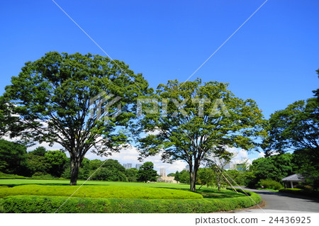 八月皇宮東花園05天時通 24436925