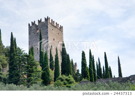 Castle of Arco di Trento - Lake Garda - Italy Castle of Arco di Trento - Lake Garda - Italy 24437313