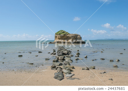 Tofu Island Tofu Island 24437681