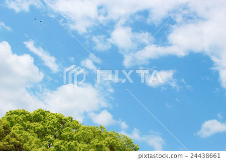 藍天和雲彩和綠色 24438661