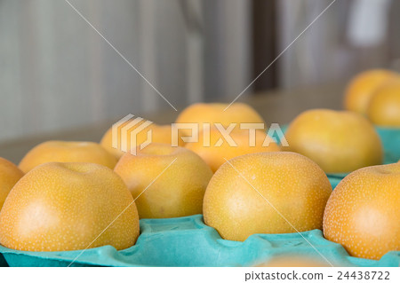 Pears before shipment Harvested pears Autumn taste fruit fruits Japanese pears a lot Pears before shipment Harvested pears Autumn taste fruit fruits Japanese pears a lot 24438722