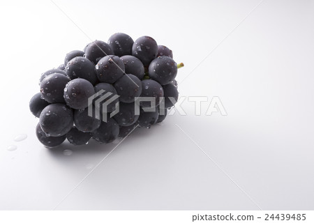 巨大的高峰 24439485