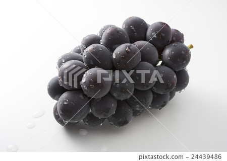 巨大的高峰 24439486