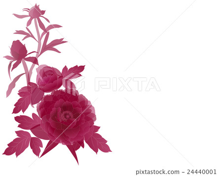 Peony gradient Peony gradient 24440001