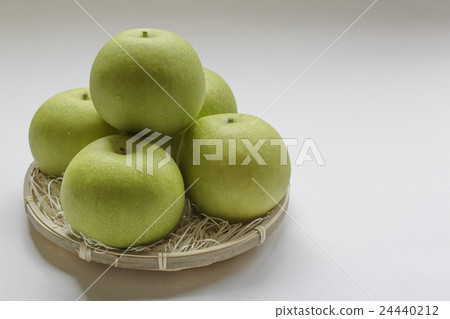 二十世紀的梨 24440212
