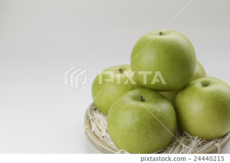 二十世紀的梨 二十世紀的梨 24440215