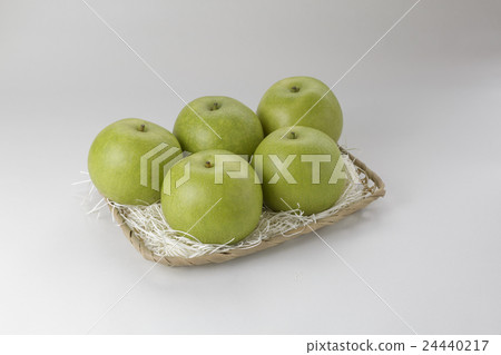 二十世紀的梨 24440217