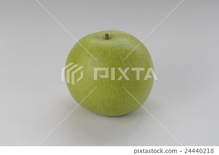 二十世紀的梨 24440218