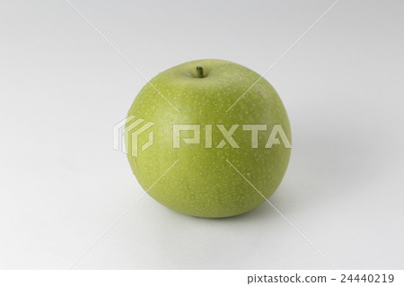 二十世紀的梨 24440219