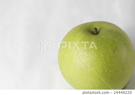 二十世紀的梨 24440220