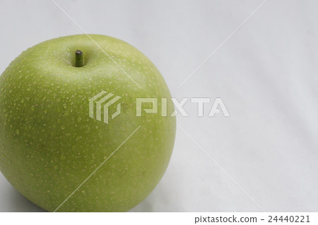 二十世紀的梨 24440221