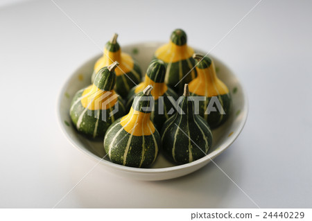 玩具壁球 24440229