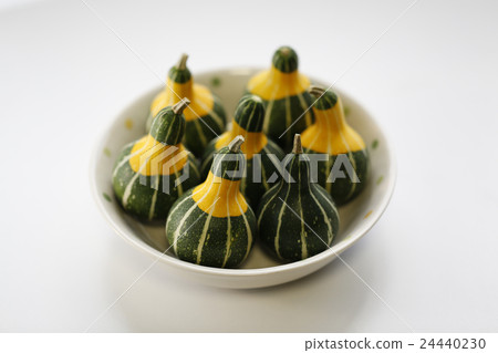 玩具壁球 24440230