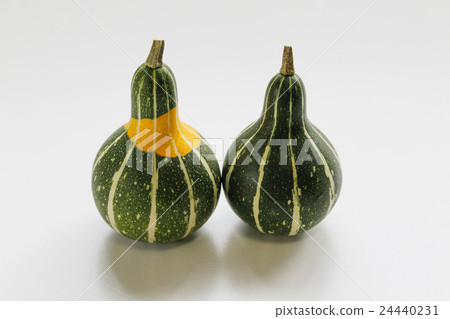 Toy squash 24440231