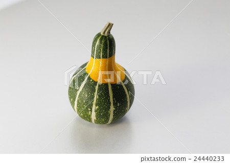 Toy squash 24440233