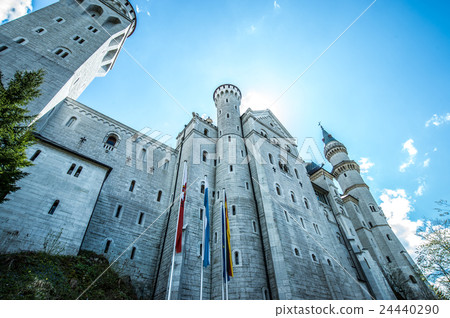 Neuschwanstein Castle Neuschwanstein Castle 24440290