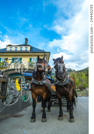 Hohenschbaugan的運輸 Hohenschbaugan的運輸 24440295