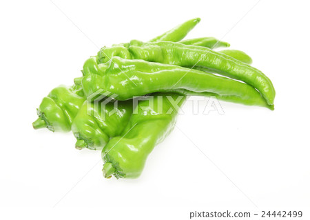 Fukushima pepper Fukushima pepper 24442499