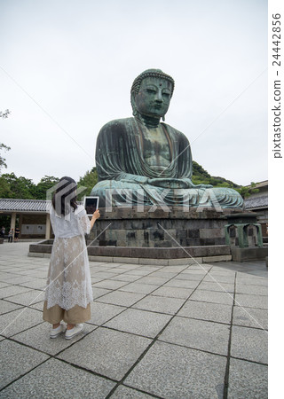 鎌倉大佛女攝影 24442856