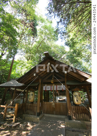 京都市Kami-ku Kojima Shizen Tenjyo靈魂神社 24443541