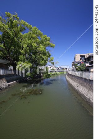 Kadoma City Furukawa 24443545