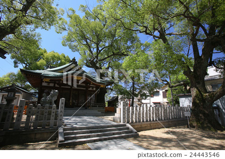 Kadoma-shi Emblem Shrine Kadoma-shi Emblem Shrine 24443546