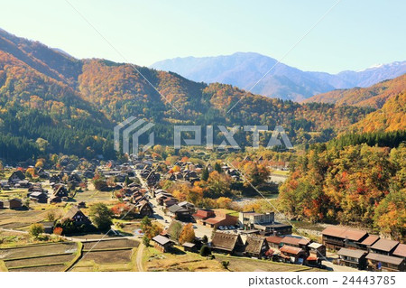 Beautiful Shirakawago in autumn Beautiful Shirakawago in autumn 24443785